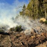 What Is a Carbon Credit? Myth vs Reality